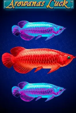 Arowanas Luck