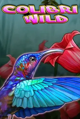 Colibri Wild