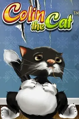 Colin The Cat