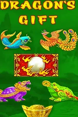 Dragons Gift