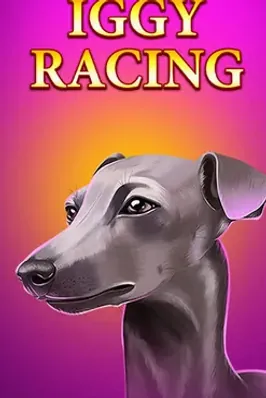 Iggy Racing