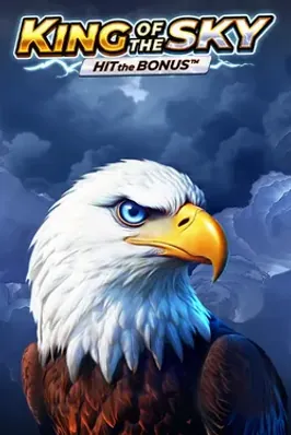 King of the Sky: Hit the Bonus