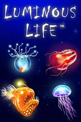 Luminous Life