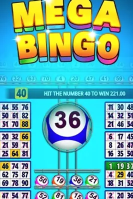 Mega Bingo