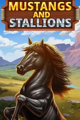 Mustang and Stallions