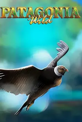 Patagonia Wilds