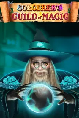 Sorcerer's Guild of Magic