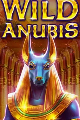 Wild Anubis
