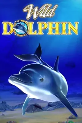 Wild Dolphin