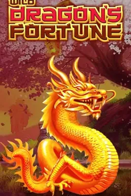 Wild Dragon's Fortune